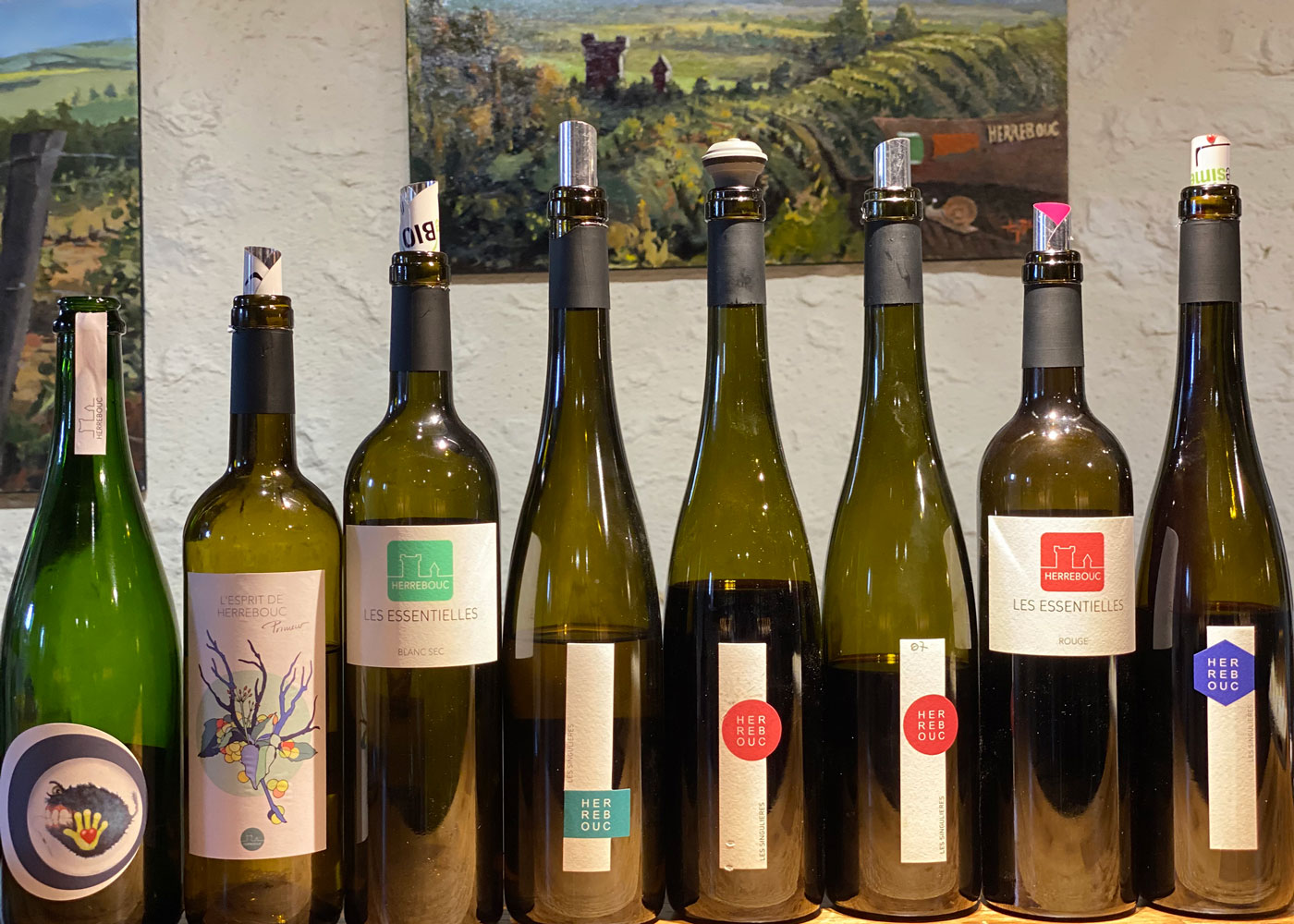 Sélection de vins du domaine de Herrebouc sur le bar du caveau de vente pour dégustation