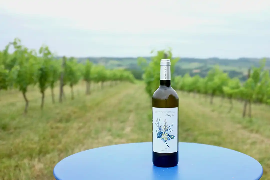 bouteille de herrebouc posée sur une table à la vigne